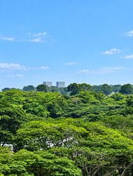 Sanctuary Green (D15), Condominium #628891731